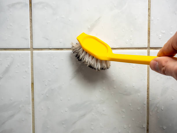 Best Mold Cleaning Services  in Pell City, AL