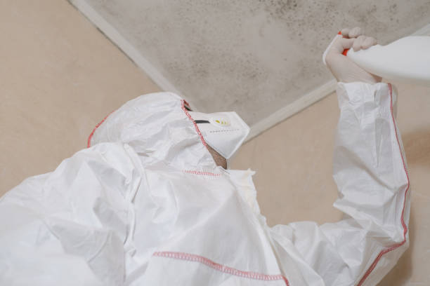 Best Commercial Mold Removal  in Pell City, AL